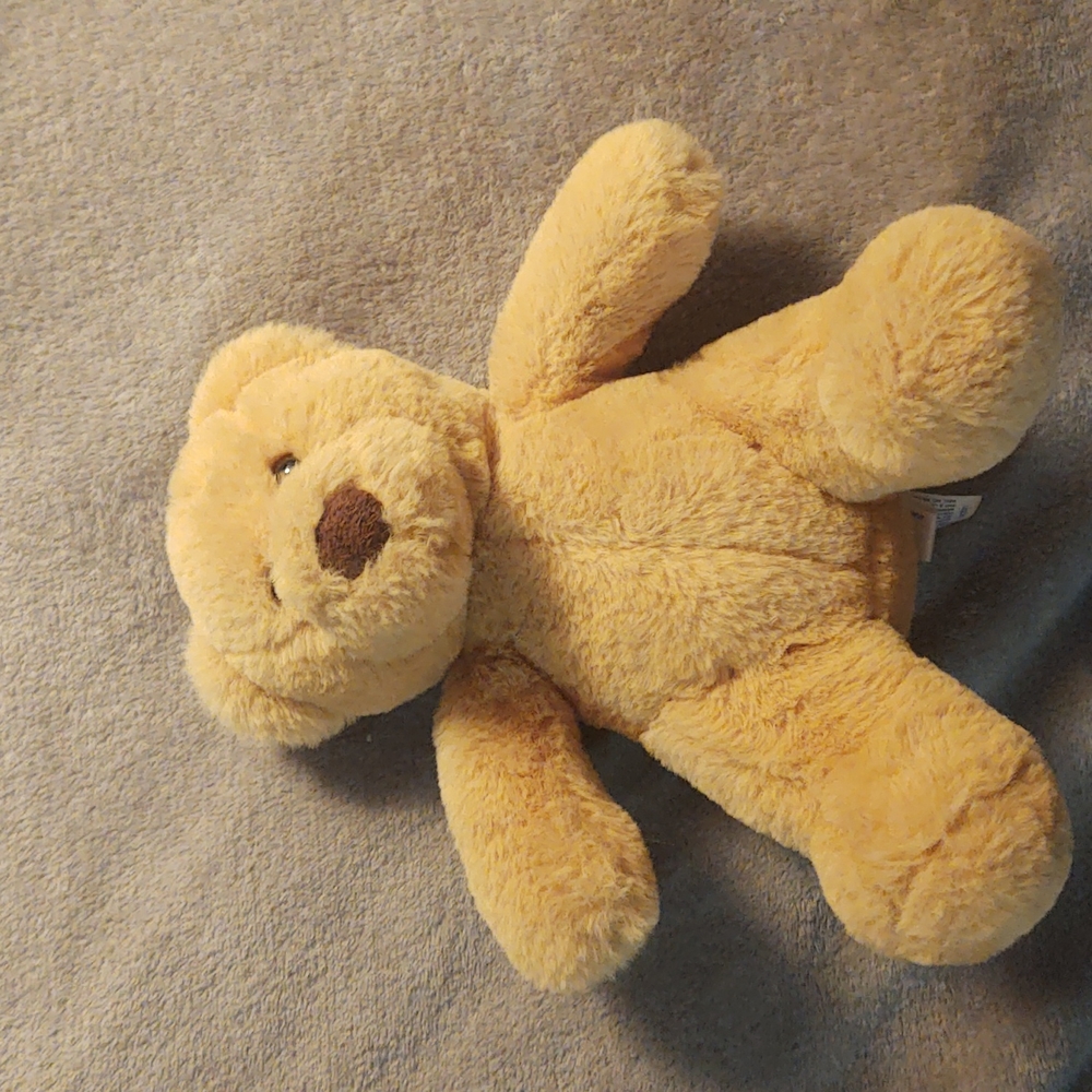 Stuffed bear named Barney.